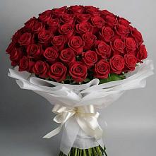 Букет 101 Красная роза Блэк Мэджик в Шале