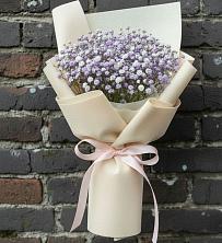 Букет цветов из:  Гипсофила в Шале