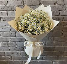 Букет цветов из:  Ромашки в Шале