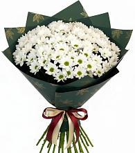 Букет цветов из:  Хризантемы #REPLACE_PRED# Шале