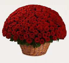 Премиум букет из: Розы #REPLACE_PRED# Шале